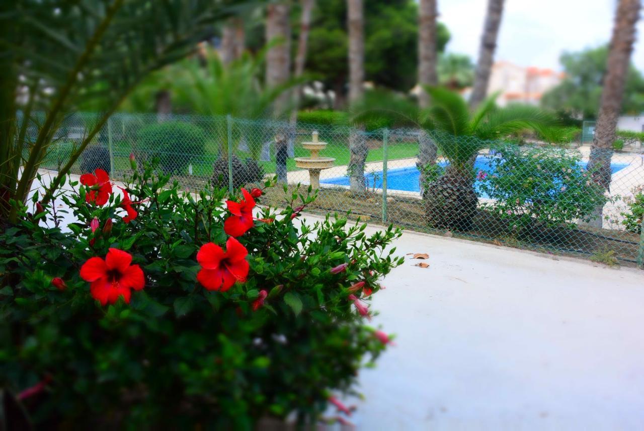 Palmeras, Piscina, Campo De Futbol Y Jardin Privados Mazarrón Buitenkant foto