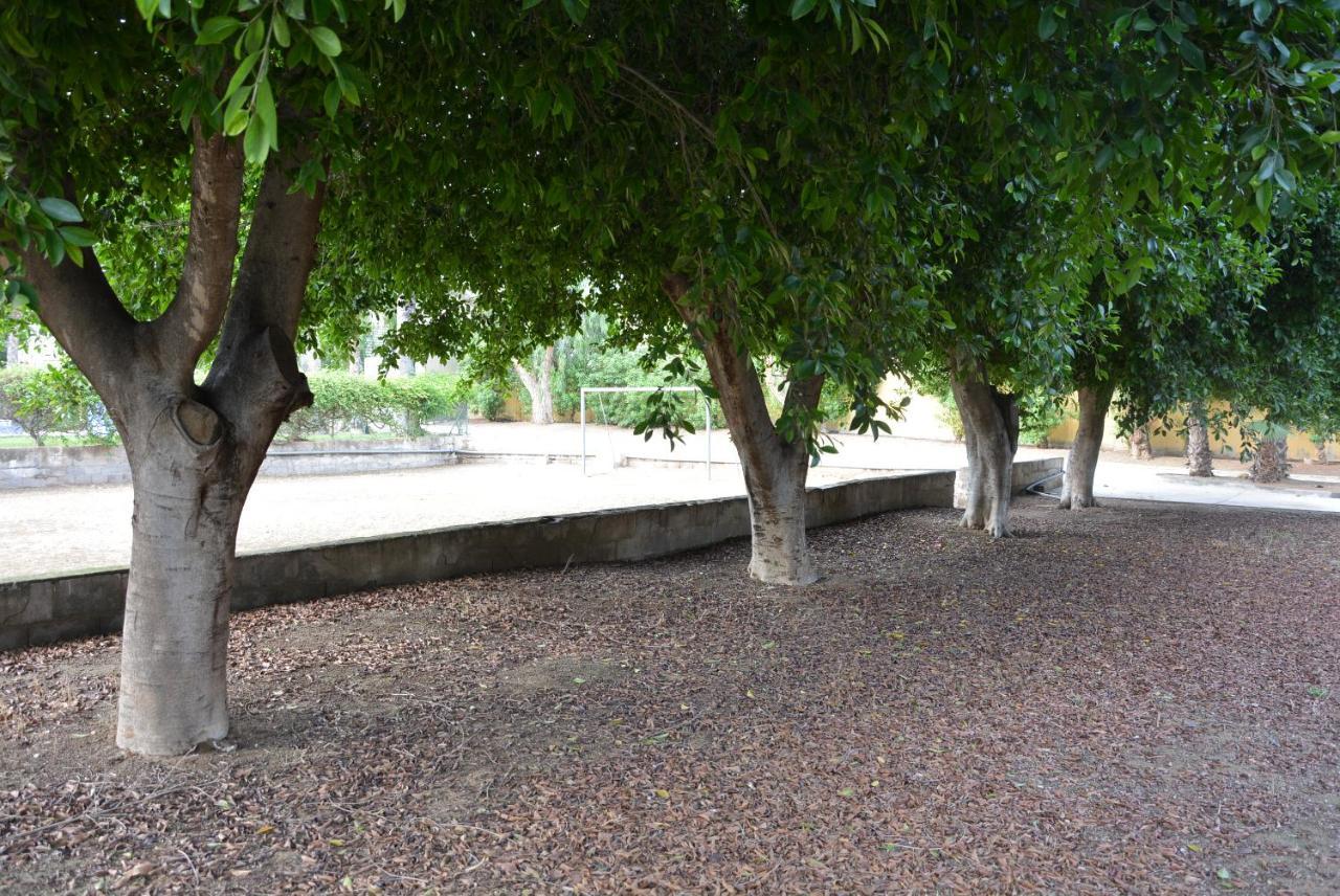 Palmeras, Piscina, Campo De Futbol Y Jardin Privados Mazarrón Buitenkant foto